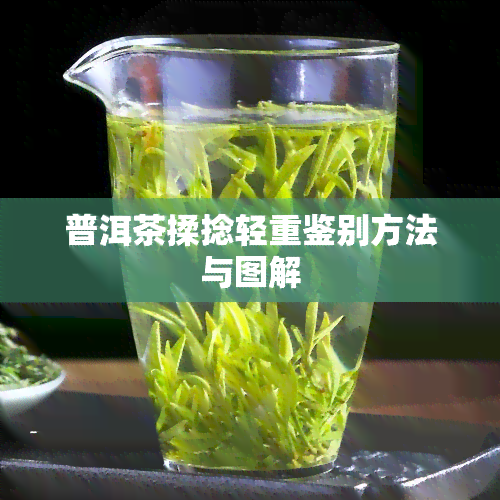 普洱茶揉捻轻重鉴别方法与图解