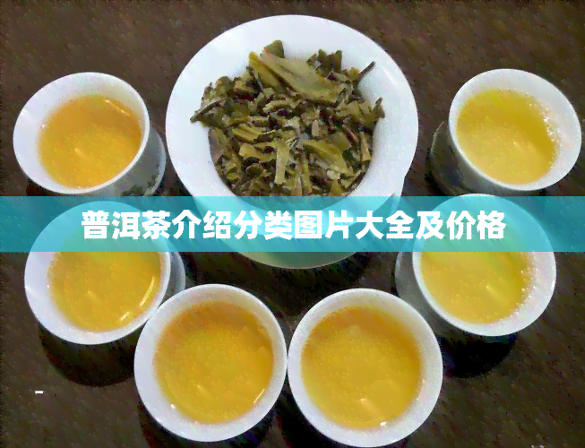 普洱茶介绍分类图片大全及价格