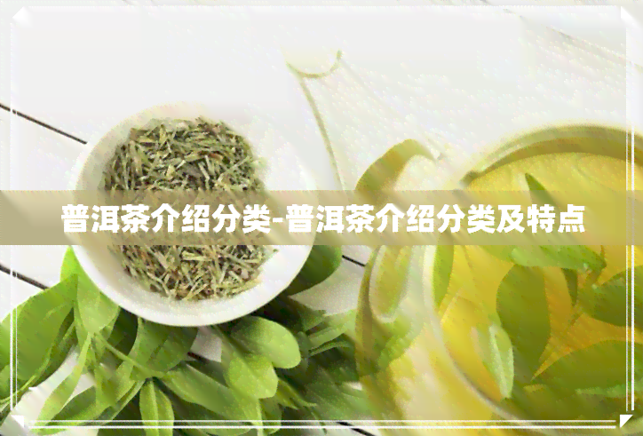 普洱茶介绍分类-普洱茶介绍分类及特点