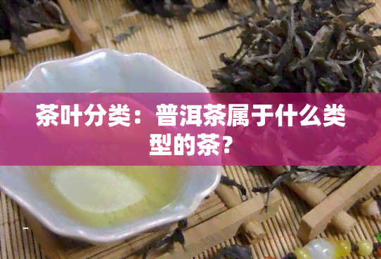 茶叶分类：普洱茶属于什么类型的茶？