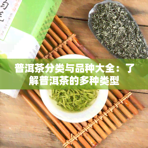 普洱茶分类与品种大全：了解普洱茶的多种类型