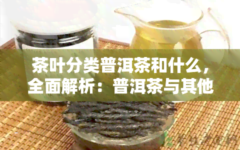 茶叶分类普洱茶和什么，全面解析：普洱茶与其他茶叶的分类区别