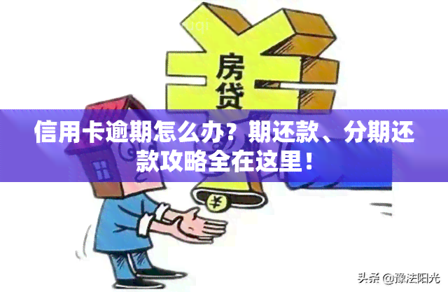 信用卡逾期怎么办？期还款、分期还款攻略全在这里！