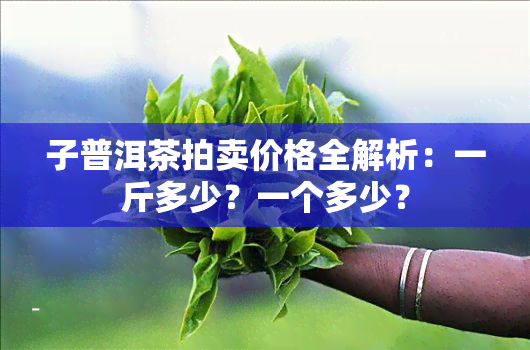 子普洱茶拍卖价格全解析：一斤多少？一个多少？