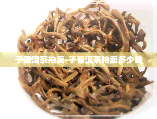 子普洱茶拍卖-子普洱茶拍卖多少钱