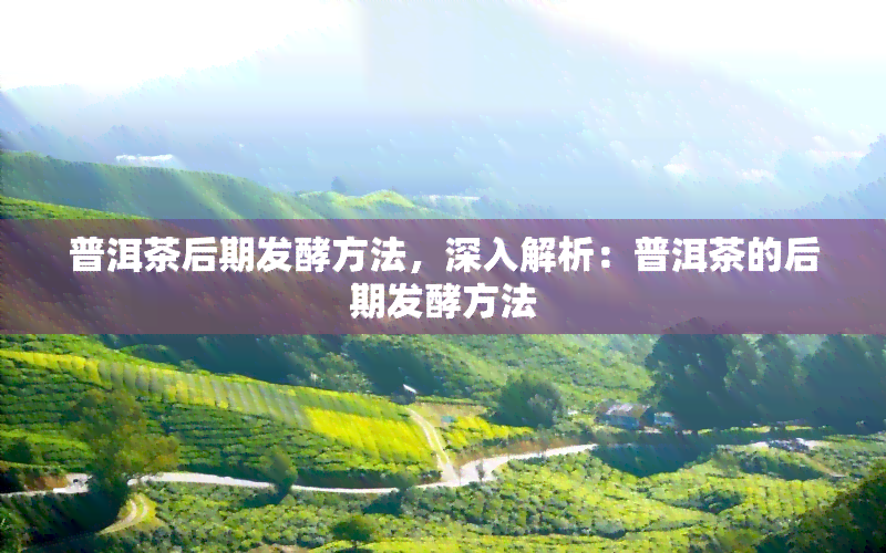 普洱茶后期发酵方法，深入解析：普洱茶的后期发酵方法