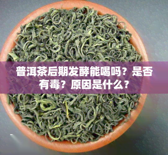 普洱茶后期发酵能喝吗？是否有？原因是什么？