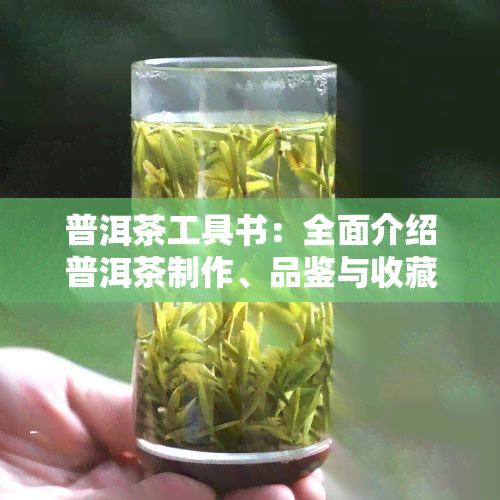 普洱茶工具书：全面介绍普洱茶制作、品鉴与收藏，附赠普洱茶工具套装，价格优