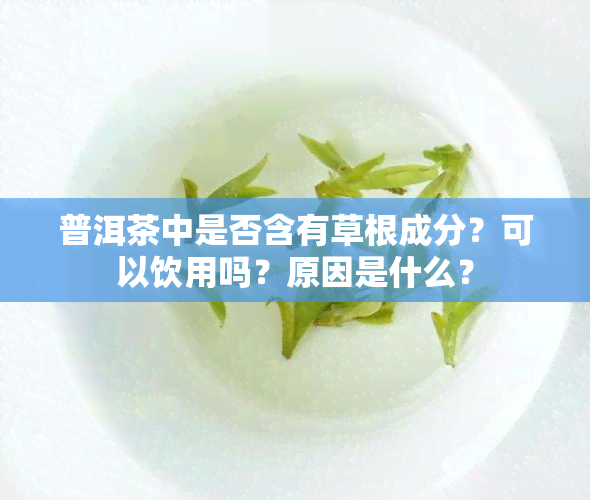 普洱茶中是否含有草根成分？可以饮用吗？原因是什么？