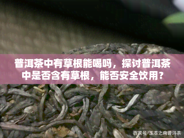 普洱茶中有草根能喝吗，探讨普洱茶中是否含有草根，能否安全饮用？