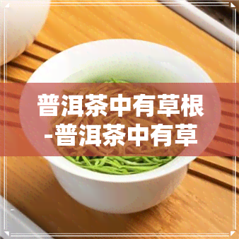 普洱茶中有草根-普洱茶中有草根吗