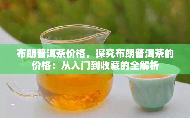 布朗普洱茶价格，探究布朗普洱茶的价格：从入门到收藏的全解析