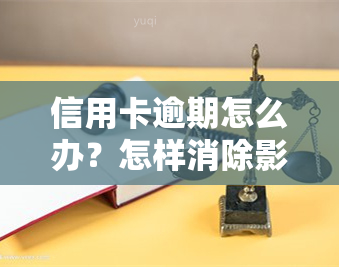 信用卡逾期怎么办？怎样消除影响及修复？