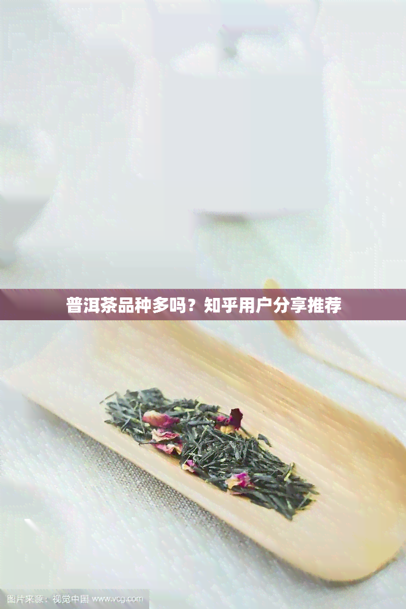 普洱茶品种多吗？知乎用户分享推荐