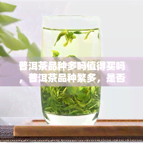 普洱茶品种多吗值得买吗，普洱茶品种繁多，是否值得购买？探讨其优缺点与市场价值