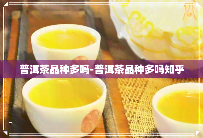 普洱茶品种多吗-普洱茶品种多吗知乎