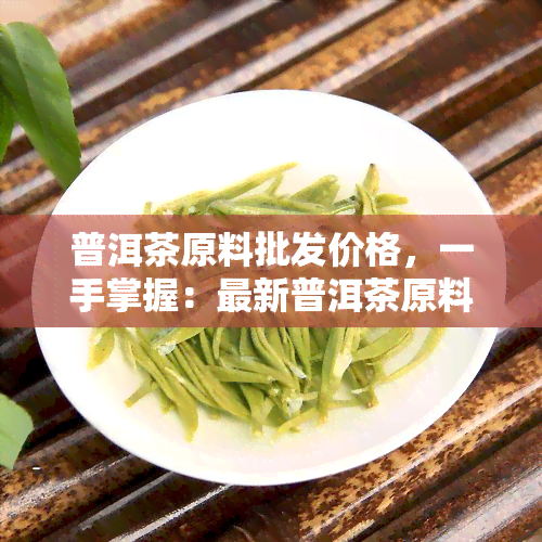 普洱茶原料批发价格，一手掌握：最新普洱茶原料批发价格全览