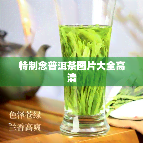 特制念普洱茶图片大全高清