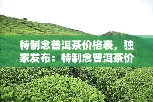 特制念普洱茶价格表，独家发布：特制念普洱茶价格表，让您一目了然！