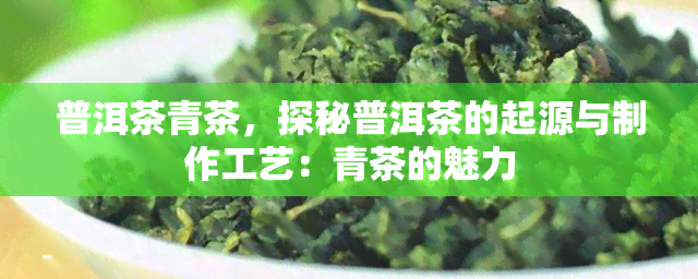 普洱茶青茶，探秘普洱茶的起源与制作工艺：青茶的魅力