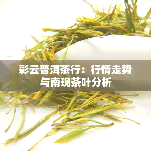 彩云普洱茶行：行情走势与南现茶叶分析