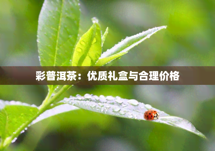 彩普洱茶：优质礼盒与合理价格