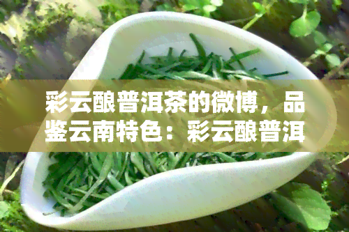 彩云酿普洱茶的微博，品鉴云南特色：彩云酿普洱茶的魅力与故事