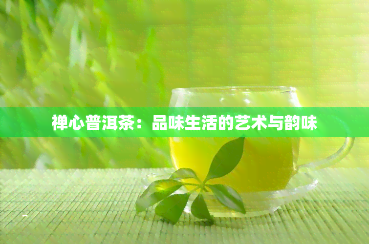 禅心普洱茶：品味生活的艺术与韵味