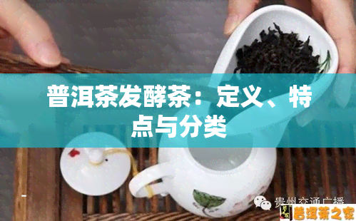 普洱茶发酵茶：定义、特点与分类