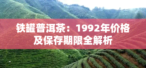 铁罐普洱茶：1992年价格及保存期限全解析