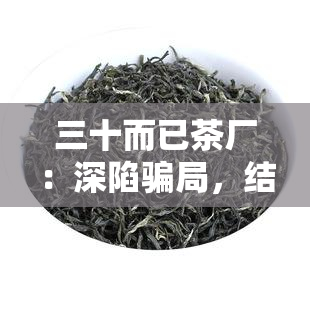 三十而已茶厂：深陷骗局，结局如何？