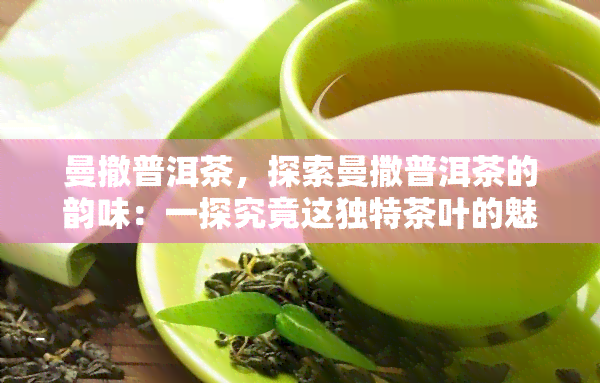 曼撤普洱茶，探索曼撒普洱茶的韵味：一探究竟这独特茶叶的魅力