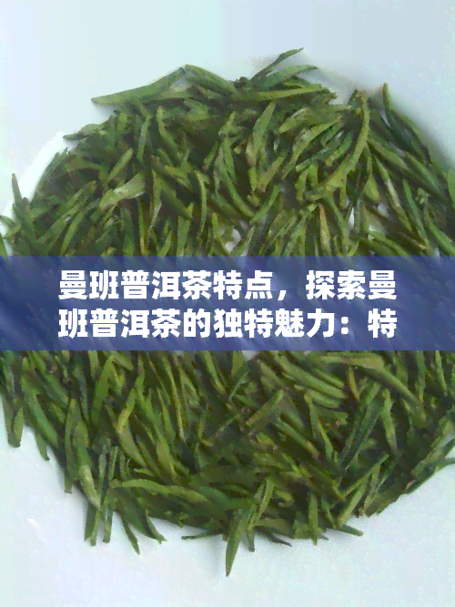 曼班普洱茶特点，探索曼班普洱茶的独特魅力：特点解析