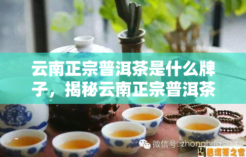 云南正宗普洱茶是什么牌子，揭秘云南正宗普洱茶，你喝的是哪个？