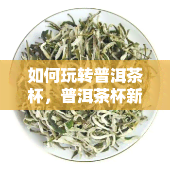 如何玩转普洱茶杯，普洱茶杯新手指南：轻松掌握玩转技巧