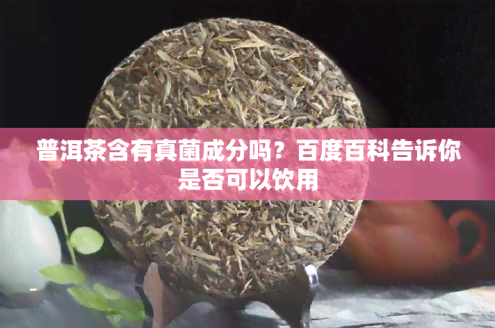 普洱茶含有真菌成分吗？百度百科告诉你是否可以饮用