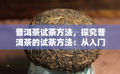 普洱茶试茶方法，探究普洱茶的试茶方法：从入门到精通