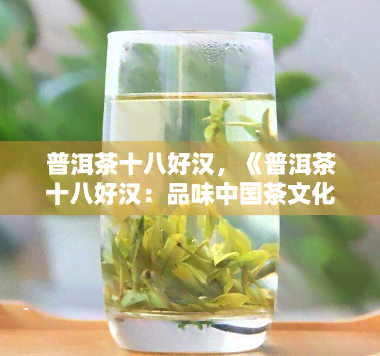 普洱茶十八好汉，《普洱茶十八好汉：品味中国茶文化的魅力》