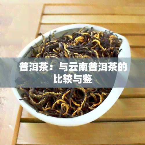 普洱茶：与云南普洱茶的比较与鉴