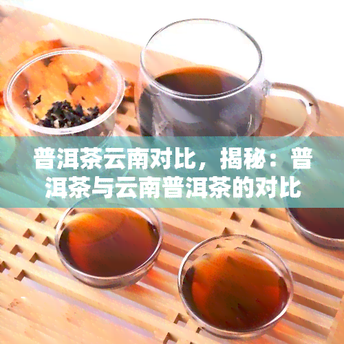 普洱茶云南对比，揭秘：普洱茶与云南普洱茶的对比分析