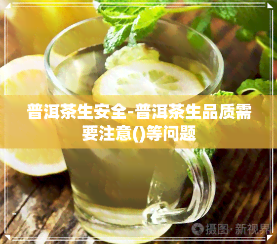 普洱茶生安全-普洱茶生品质需要注意()等问题