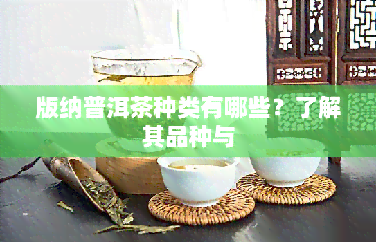 版纳普洱茶种类有哪些？了解其品种与