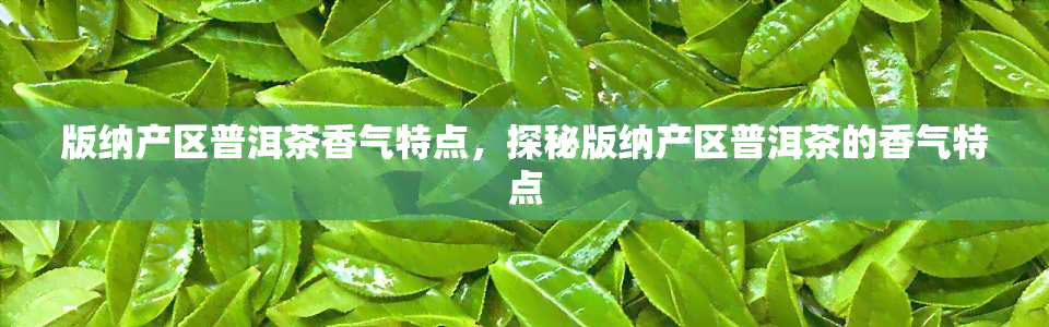 版纳产区普洱茶香气特点，探秘版纳产区普洱茶的香气特点