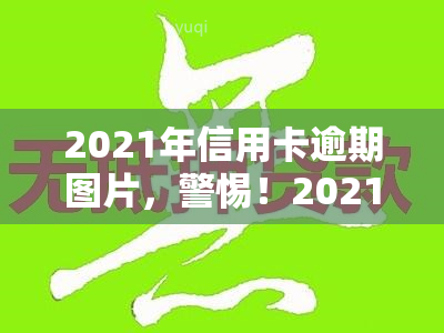 2021年信用卡逾期图片，警惕！2021年信用卡逾期现象严重，这些图片揭示了背后的惊人事实！