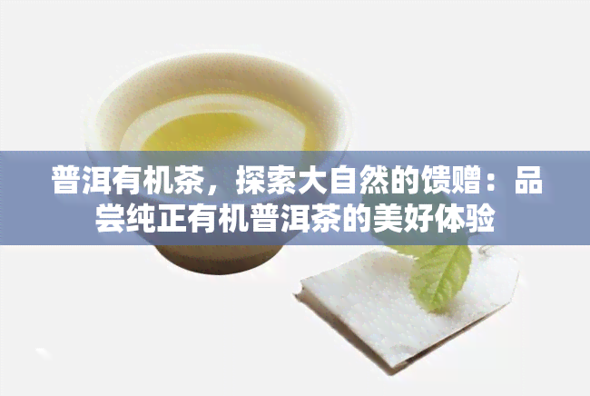 普洱有机茶，探索大自然的馈赠：品尝纯正有机普洱茶的美好体验