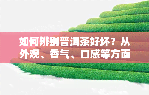 如何辨别普洱茶好坏？从外观、香气、口感等方面全面解析