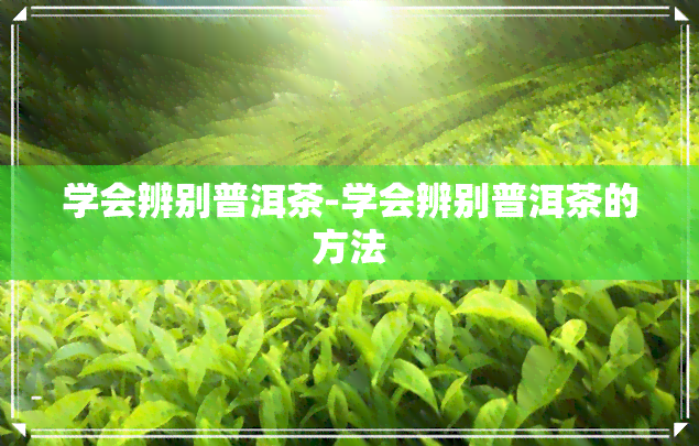 学会辨别普洱茶-学会辨别普洱茶的方法