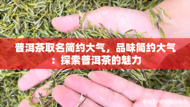 普洱茶取名简约大气，品味简约大气：探索普洱茶的魅力