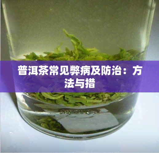 普洱茶常见弊病及防治：方法与措