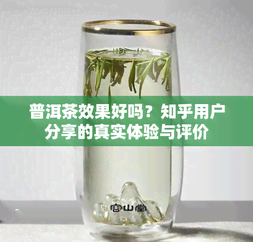 普洱茶效果好吗？知乎用户分享的真实体验与评价